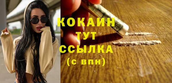 дживик Гусев