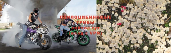 прущие крисы Гусиноозёрск