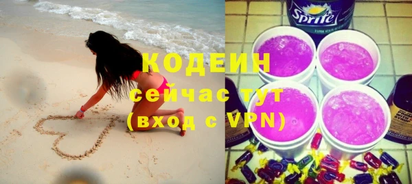 спиды Горняк