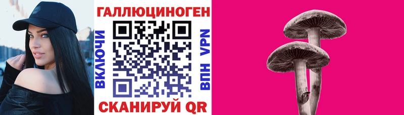 где купить наркотик Дзержинский Галлюциногенные грибы Cubensis
